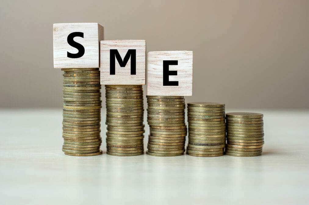 Micro Small and Medium Sized Businesses MSMEs. 